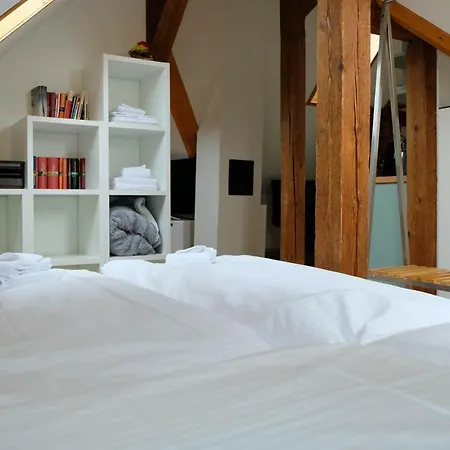 Spatzennest شقة سبيز