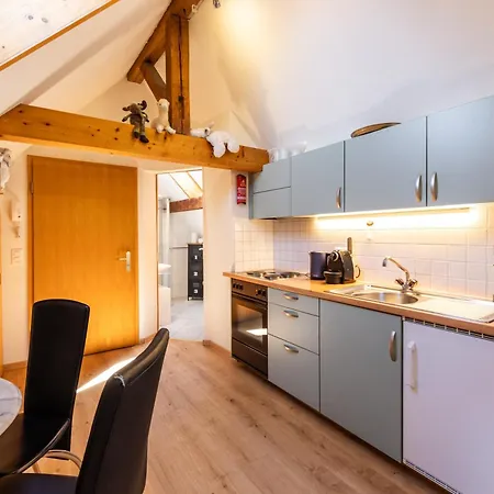 Spatzennest Apartment Spiez