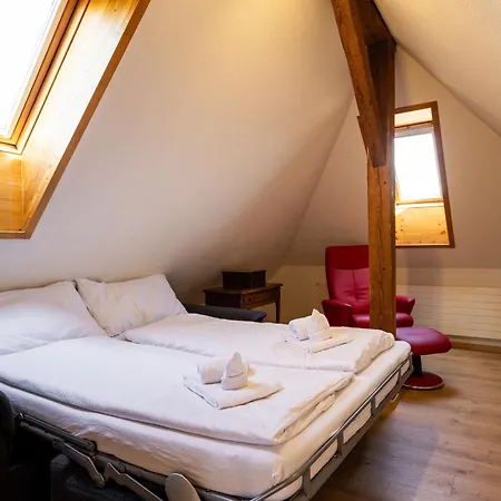 Spatzennest Spiez